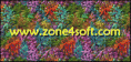/album/galerie-photos/test-gif/